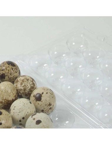 carton de 125 boites de 18 oeufs de caille en plastique