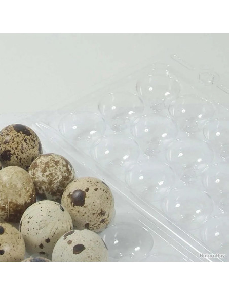 carton de 125 boites de 18 oeufs de caille en plastique
