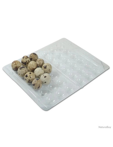 carton de 125 boites de 18 oeufs de caille en plastique