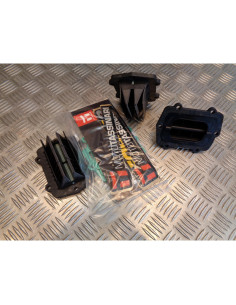 kit 3 boite clapet carbone v-force 3 quad polaris 900 1050 sl sltx moto tassinar 2