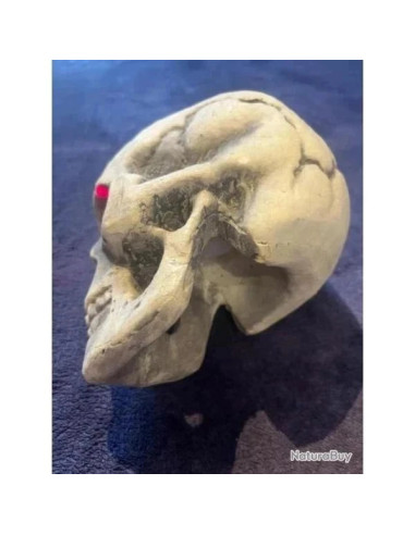 Crane tête de mort skull yeux rouges lumineux 14cm deguisement halloween