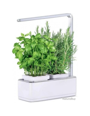 Jardin d'intérieur Viviana avec Kit de démarrage et puce NFC