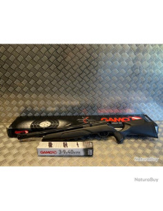 Carabine Gamo ARROW PCP 4.5mm (20 joules)