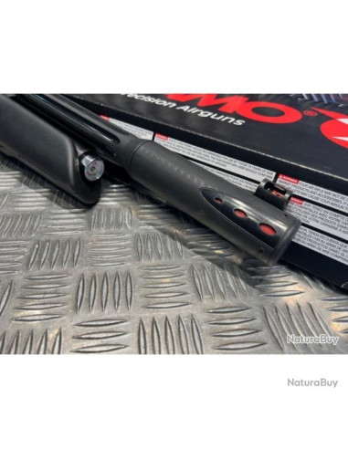 Carabine Gamo ARROW PCP 4.5mm (20 joules)