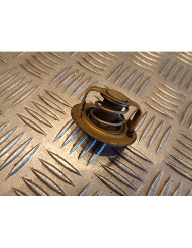 thermostat moto kawasaki 600 zzr 2003 jkazx600eaa