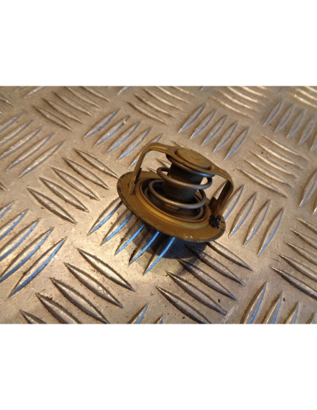 thermostat moto kawasaki 600 zzr 2003 jkazx600eaa