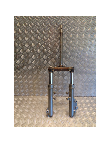 fourche scooter pgo 125 t-rex t rex trex