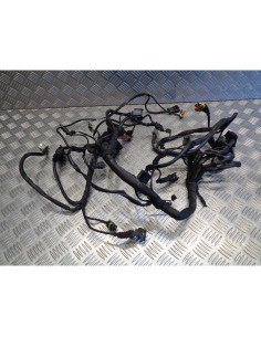 faisceau electrique moto ducati 620 ie monster 2