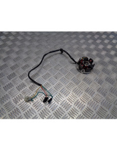 stator bobines allumage avec platine euros 3 moto derbi 50 drd x-treme sm