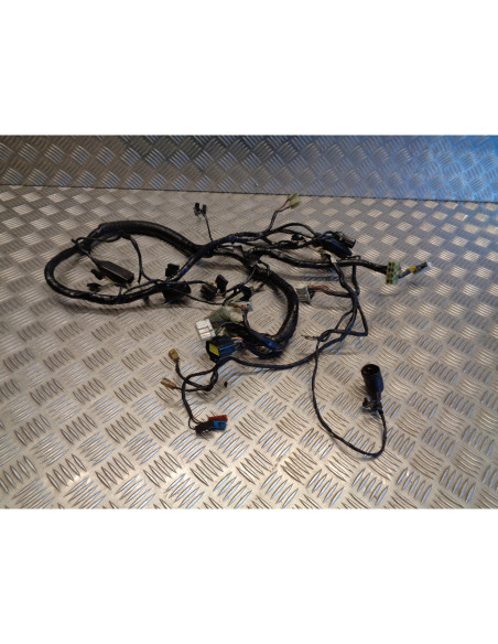 faisceau electrique moto triumph 900 trophy t336