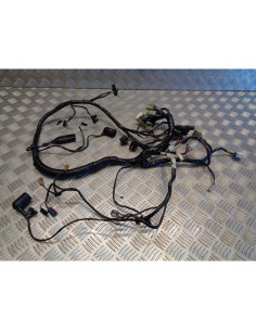 faisceau electrique moto triumph 900 trophy t336 2