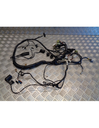 faisceau electrique moto triumph 900 trophy t336