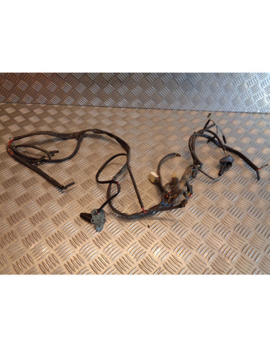 faisceau electrique moto jawa 50 dandy moteur sachs