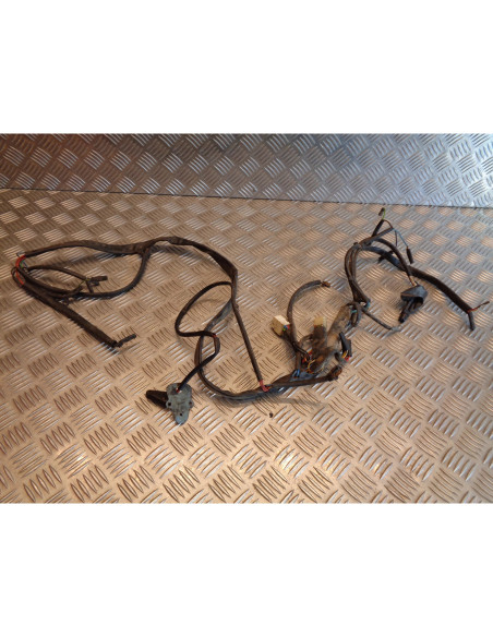 faisceau electrique moto jawa 50 dandy moteur sachs