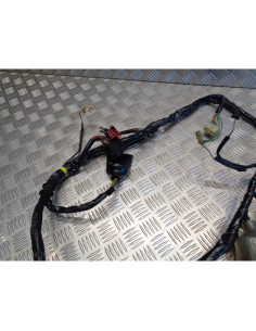 faisceau electrique moto honda nt 650 v deauville ntv rc47 2