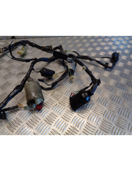 faisceau electrique moto honda nt 650 v deauville ntv rc47