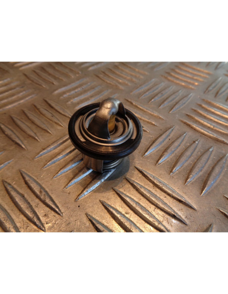 thermostat scooter piaggio 125 x9