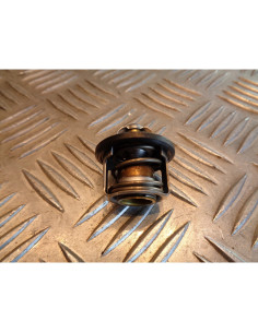 thermostat scooter piaggio 125 x9 2