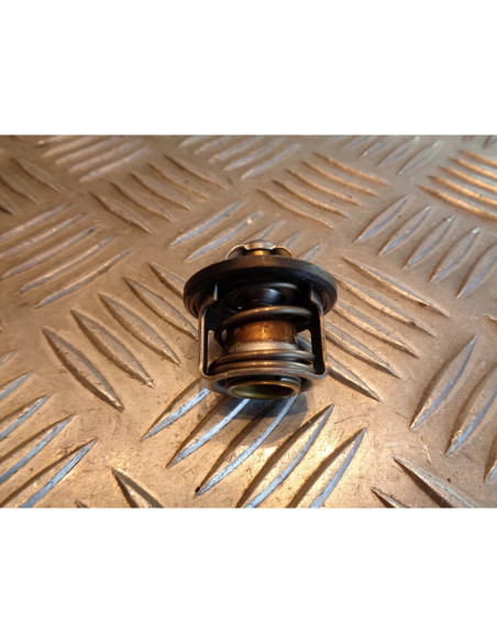 thermostat scooter piaggio 125 x9