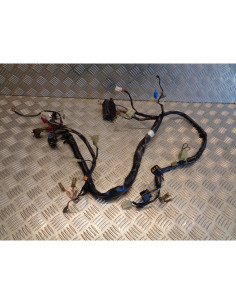 faisceau electrique moto yamaha fzs 600 fazer jyarj02 1998 - 01