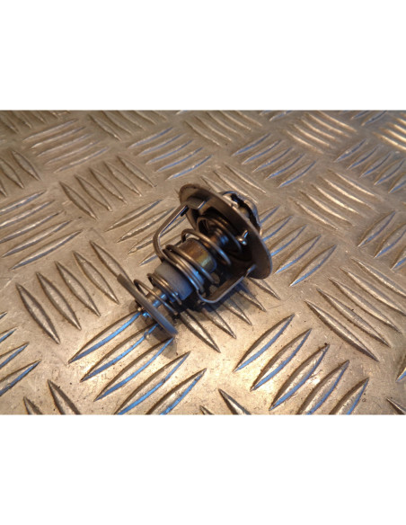 thermostat scooter honda fjs 600 silverwing 2002